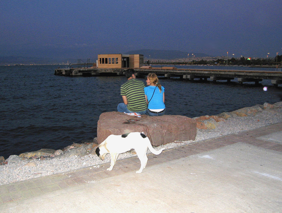 ���ł��܂�C�Y�~�[���̊C��