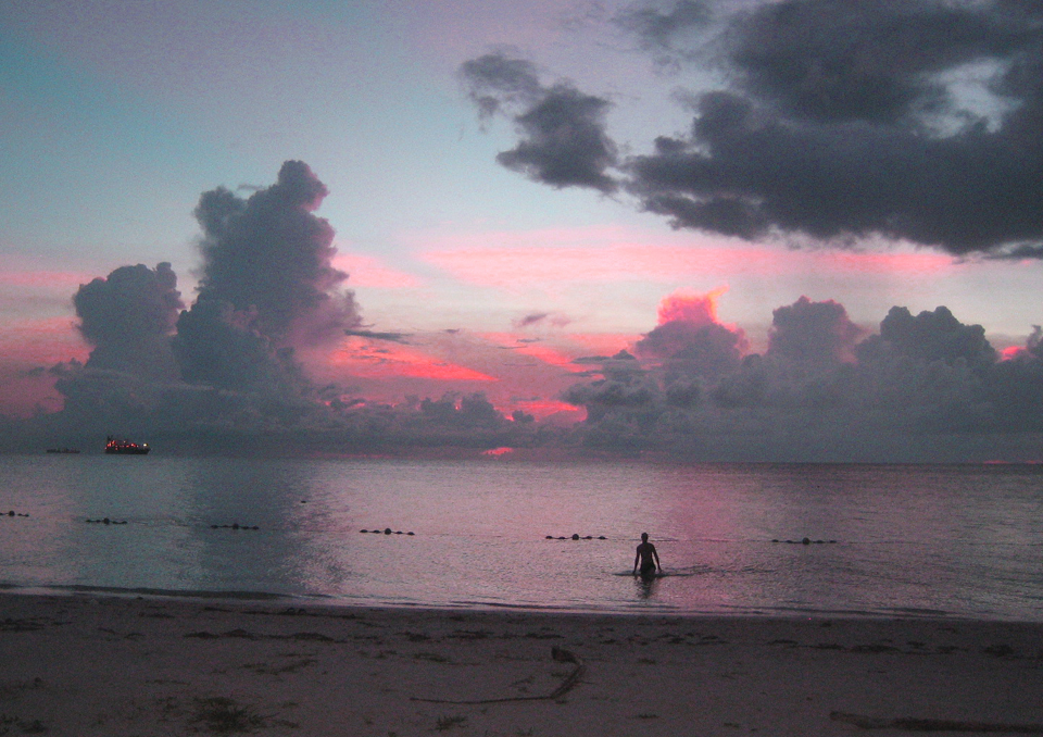 ��m�̗[�Ă�