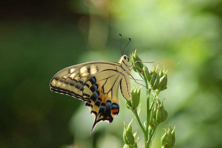 ��ɗ����A�Q�n�`���E