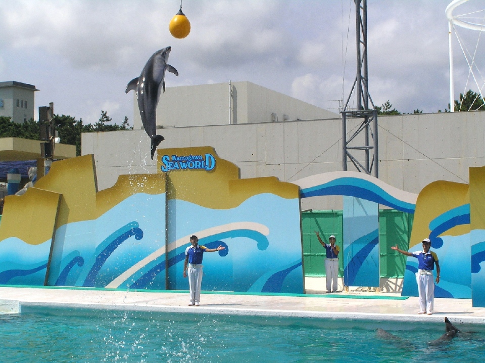 SeaWorld-3