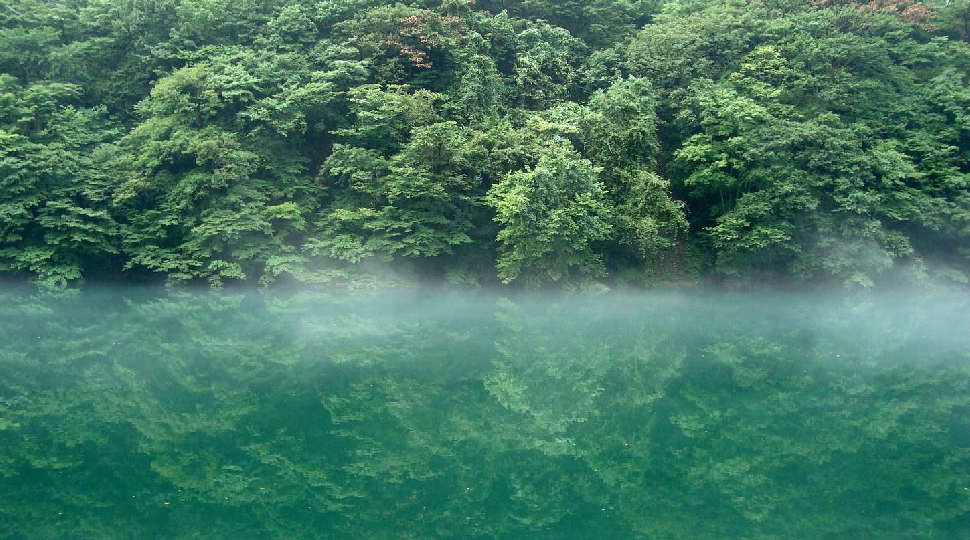 Foggy-River