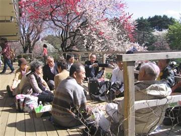花見の宴