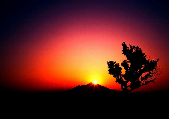 �}�g�R���̏o