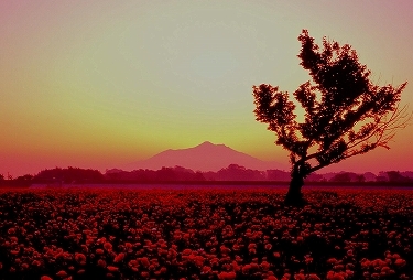 �摜���H�����Ȃ��H�� ...