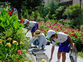 �{�����e�B�A