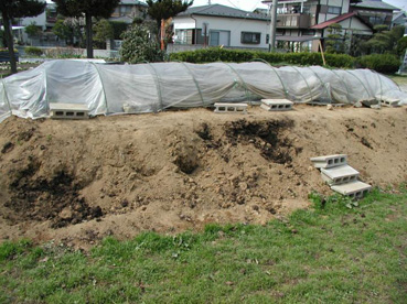 �I���h�����r�j�[���g���l��