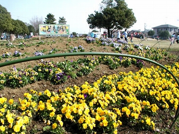 �{�����e�B�A