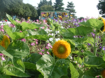 ���ǂ�����