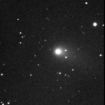 �}�b�N�z���c�a��