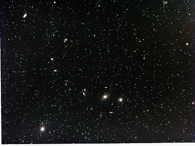 �삵�����̋�͂��_��