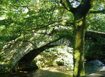 �A���u���T�C�h�̃t�b�g�p�X�œn�����΋�