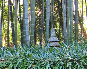 竹林