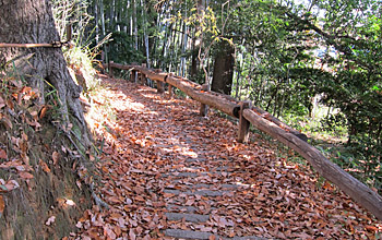 山の道