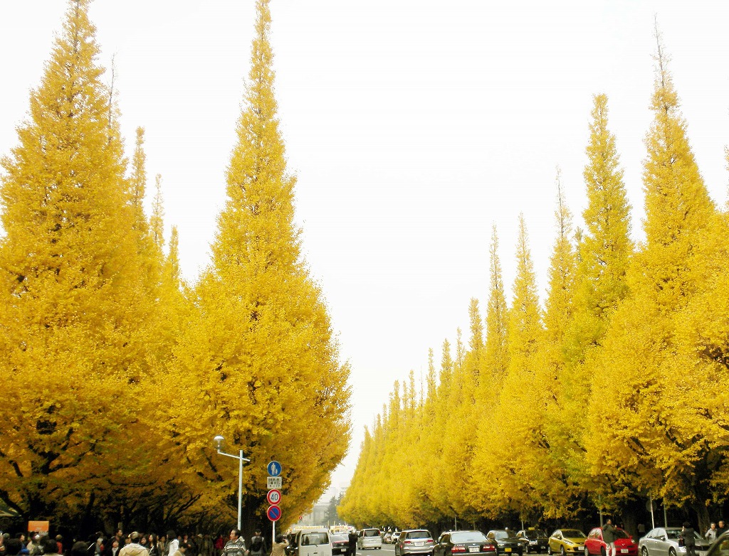 �_�{�O���̋�Ǖ���