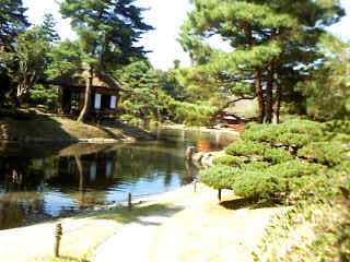 �����Ƃ̒뉀�u��򉀁v