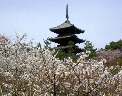 G߂̕iFmǎ䎺